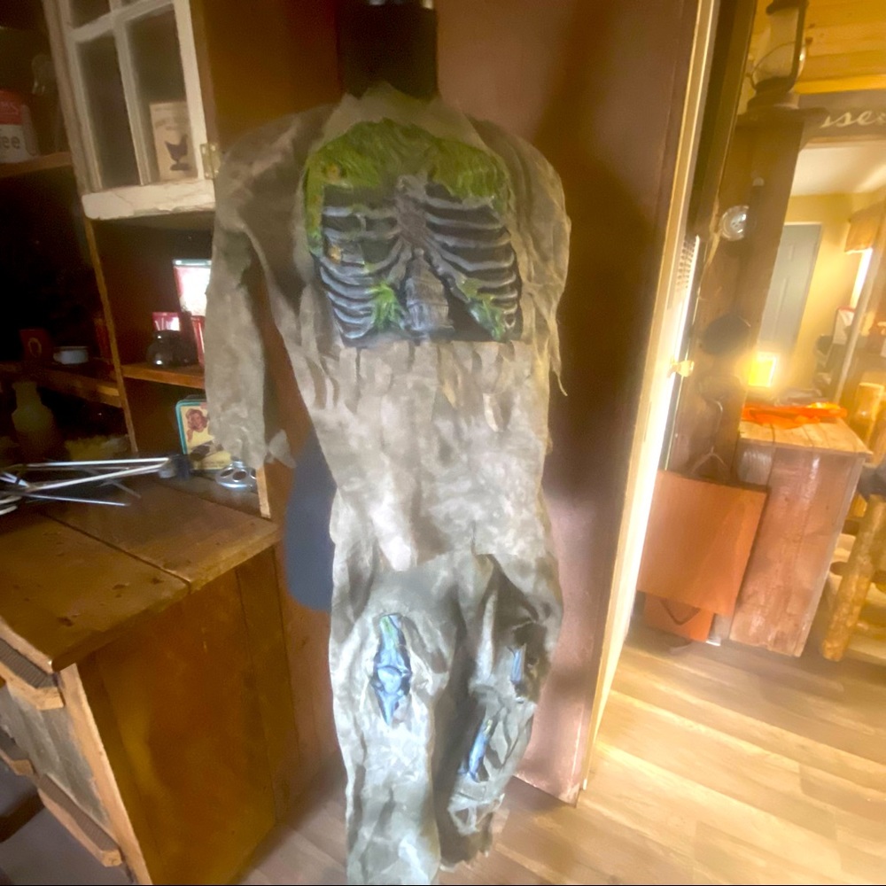 Halloween Zombie Costume